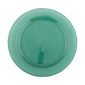 Fun Express 197640410884 Premium Green Round Disposable Plastic Dinner Plates 10 1/4 Inch - 25 Co