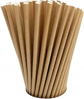 Gdminlo 745103923596 100 Pack Kraft Paper Straws Count Of 1 Brown