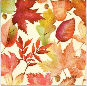 Gift Boutique 313028443491 100 Fall Leaves Cocktail Beverage Napkins 3 Ply Disposable Paper D