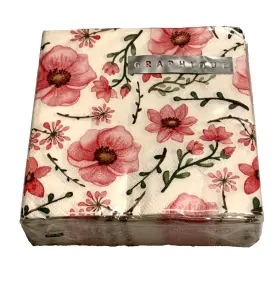 Nkc40349 Graphique Cherry Blossom Beverage Napkins Paper Cocktail 40 Count 3 Ply