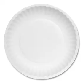 Green Label 313048737761 6 Inch Uncoated Paper Plates In White 1000 Per Case