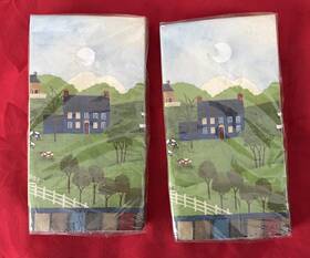 Hallmark 726528037181 Americana Country Napkins Party Express 2 Packs Of 16-32 Total Nip