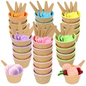 Hbaushun 792282582083 26 Pack Plastic Ice Cream Bowls With Spoons Reusable Cups C