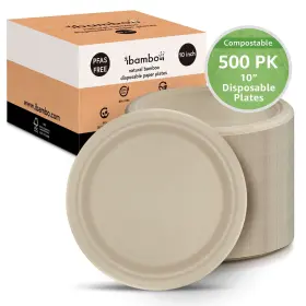 Bk-10in500p Ibambo 500 Pack 10 Inch Bamboo Disposable Paper Plates