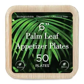 Iecco 060829650027 Palm Leaf Plates Compostable And Grease Resistant 6 Inch Square Eco Frien