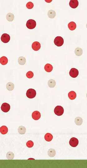 Bf400057 Ihr Boston Intftl Paper Guest Towel Winter Berry Dots - 2 Packs