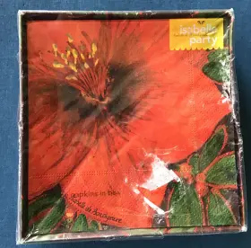 Isabelle De Borchgrave 490532106880 Red Greenfloral Paper Beverage Napkins 32 Count Pack New
