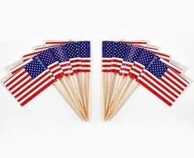Javd 761344838406 Cyps 100 Pcs Usa American Flag Us Toothpick Flags Small Mini Stick Cupcake T