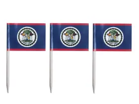 Javd 795261066888 Cyps 100 Pcs Belize Flag Belizean Toothpick Flags Small Mini Stick Cupcake T