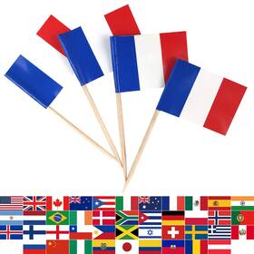 Jbcd 746362240844 France Toothpick Flag French Mini Small Cupcake Topper Flags 100pcs