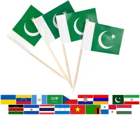 Jbcd 746362267216 100 Pcs Pakistan Toothpick Flag Pakistani Mini Small Cupcake Topper Decoration