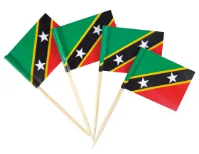Jbcd 795063864408 Saint Kitts And Nevis Toothpick Flag Mini Small Cupcake Topper Flags 200pcs