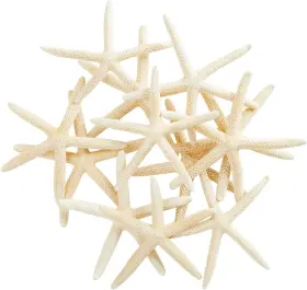 Lj-chtgy-121119-05-1 Juvale Sustainable White Starfish 12 Pack For Crafts And Nautical Decor