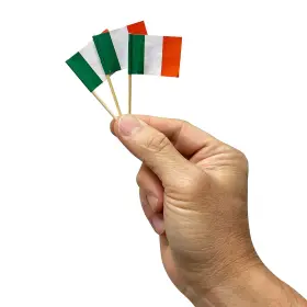 Kingseal 602571771725 Italian Flag Toothpicks 2.5 Inch - 2 Boxes Of 144 Per Pack 288 Count Italy