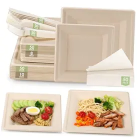 Ktcnmer 753936632950 Compostable Party Paper Plates Set - 300 Pcs 10 Inch&8 Inch Square Brown