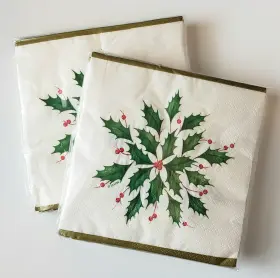 Tw4-15431b Lenox C.r. Gibson Christmas Holly 2 Packages Small 5 Inch X Beverage Napkins