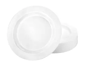 Lillian 763615000024 Tablesettings Premium Quality 10.25 Inch Heavyweight Plastic Plates C