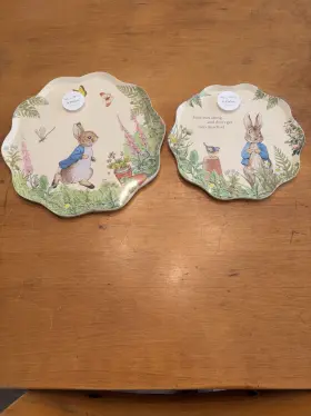 225892 Meri Easter Peter Rabbit In The Garden 8 Dinner Salad Paper Plates