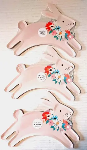 Meri 781534033863 Easter Bunny Rabbit Party Paper Plates 9 Inch X 12 - 3 Sets 8 Ea 24 Total