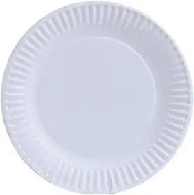 01098 Nicole Home Collection Everyday Dinnerware Paper Plate 9-inch 100 Count