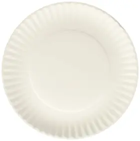 Nicole Home Collection 767674284012 N 200 Count Everyday Dinnerware Paper Plate 9inch White