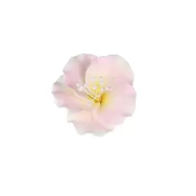 Ocreme 603810085292 Gumpaste White-&-pink Azalea Flower Set Of 6-2 Inch - Edible Flowers For Cake