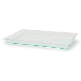 210klar1813 Packnwood 282552121335 -square Transparent Disposable Plate-clear Appetizer Plate- Clea