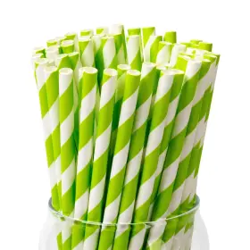 Jrps23022-orange Paktalk 100 Pack Biodegradable Paper Straws Striped Green Bulk For Cocktail