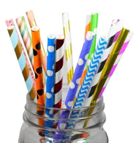 Paper Arts 095229230017 Durable Assorted Biodegradable Straws 150 Count Random