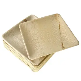 Patra 740224492716 Eco-dinnerware 8 Inch Square Plates 200 Ct