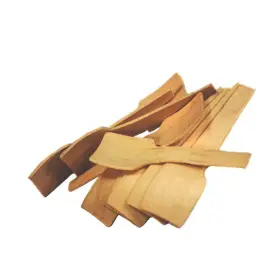 Perfect Stix 788581103883 Green Spoon 70 Birchwood Square Compostable Cutlery Taster With Conca