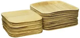 Perfectware 810011479838 Palm Leaf Plates Disposable Bamboo Earthfriendly Compostable Plates. 10 Inc