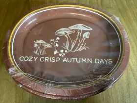 Place & Time 039938946401 4-8 Packs Large Oval Mushroom Fall Autumn Paper Dinner Plates Thanksgiving New