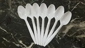 Plastic Palace 079908410327 Pa Disposable Bulk Medium Weight And White Case Of 1000 Tea Spoons