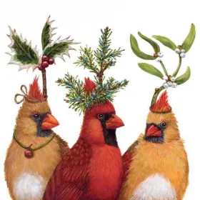 Ppd 021766230056 New Vicki Sawyer 40 Paper Napkins 5x5 Inch Folded Germany Holiday Party Birds