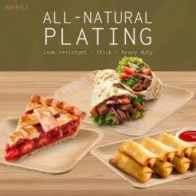 Products 445057870856 Palm Leaf Plates Small 4 Inch Disposable 25 Pack Sturdy Bamboo Party Plate