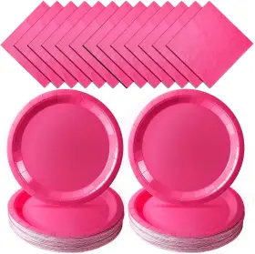 Purhapfre 445031327314 Hot Pink Plates And Napkins Party Supplies Paper Plat
