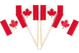 Qqsd 737311885926 Canada Toothpick Flag Canadian Small Mini Cupcake Topper Flags 100 Pcs