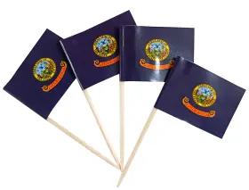Qqsd 737311886602 Idaho Toothpick Flag Small Mini Cupcake Topper Flags 100 Pcs