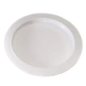 Rehabilitation Advantage 847102001470 Plate With Curved Inner Lip 9 Inch Diameter