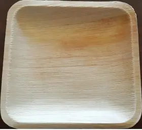 Revived Leaves 867458000187 25 New Palm Leaf Plates Usda 100% Biobased 6 In Square