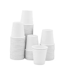 Rikkel Corp. 810085790181 3 Oz. - 100 Count Small Paper Cups Disposable Mini Bathroom Mouthwash