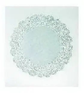23006 Royal Consumer Products 12 Pack - Paper Doily White Medallion Lace 12- Inch 8-pk. -23006