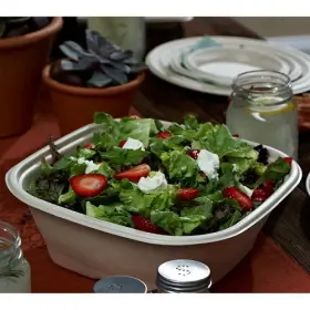 49120f050n Sabert Corporation Square Pulp Green Collection Laminated Stackable Catering Bowl Natural
