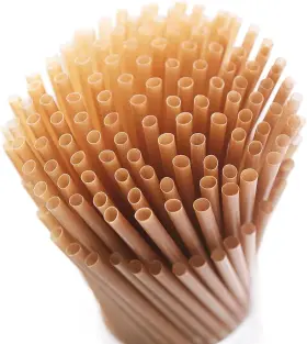Shaumn 744110391312 Biodegradable 200pcs Sugarcane Straws 8 Inch Compostable Disposable Drinking Str