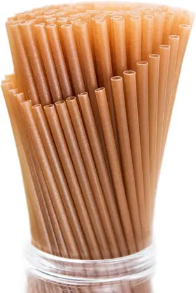 Bss8 Shaumn 100pcs Sugarcane Straws 8 Inch Sturdy Biodegradable Inch-100 Brown