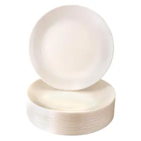 Silver Spoons 816696019703 S Modern Design Disposable Plastic Salad Plates For Party 10 Pc Heavy Duty Dis