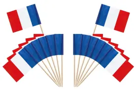Sokoot 768572774933 France Flag Cupcake Toppers Stick Banner Small Mini French Toothp