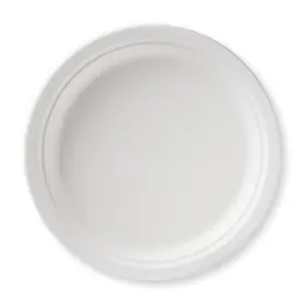 Susty Party Supplies 858798005406 10inch Compostable Round 50count Sugarcane Heavy Duty Disposable B