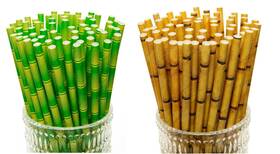 Tcj-chen 602822768641 Yeham 100 Pc 2 Colors Biodegradable Bamboo Print Paper Drinking Straws For Juice